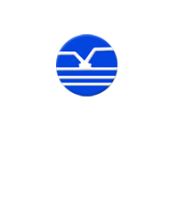 ʻ޹˾